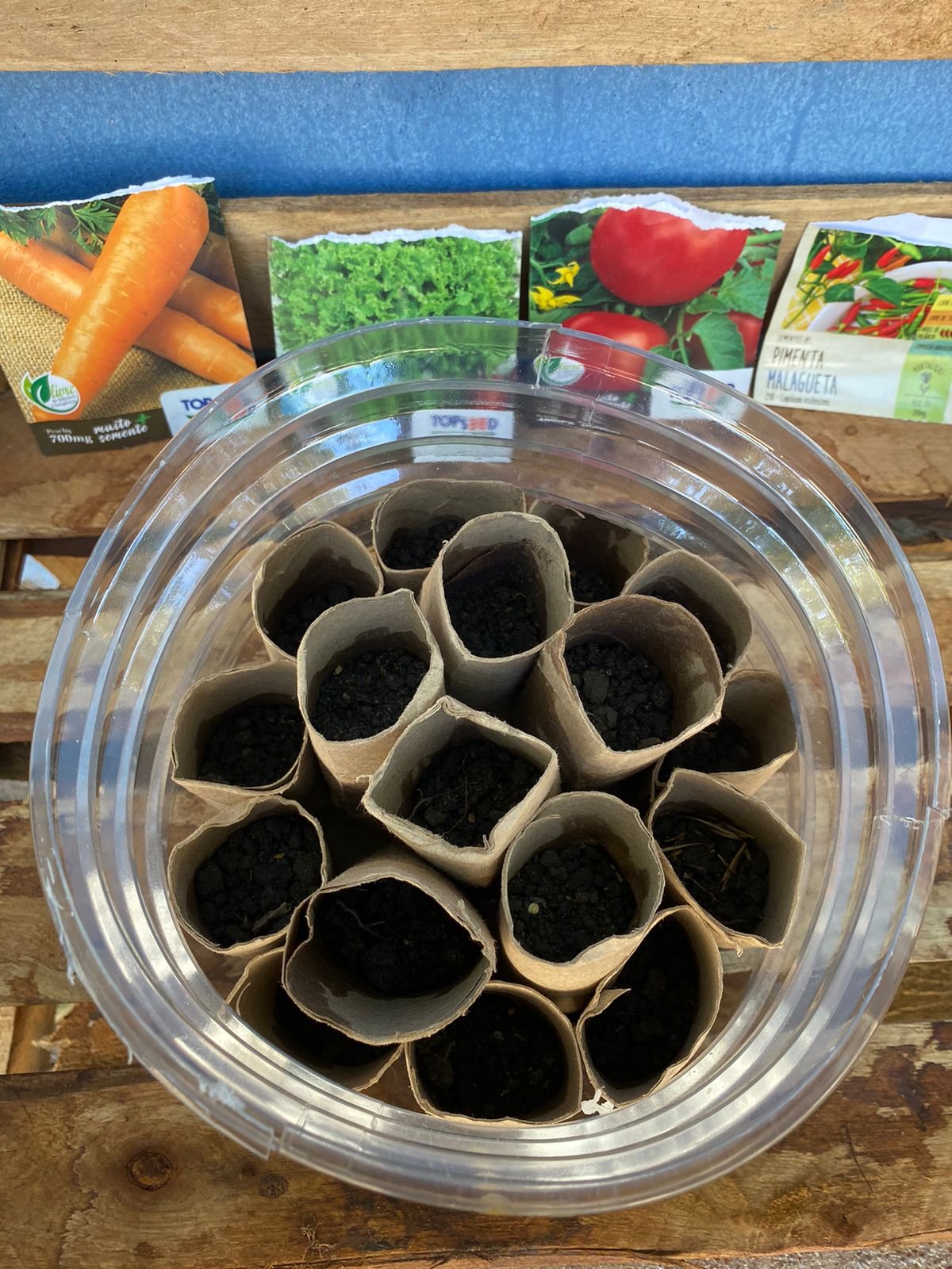 Imagem do WhatsApp de 2024-09-05 à(s) 21.58.17_0ded82ee