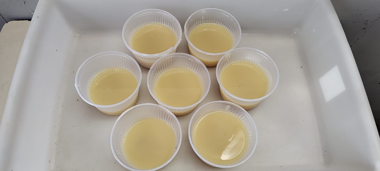 Imagem do WhatsApp de 2024-09-05 à(s) 21.59.02_f52fe31f